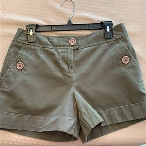 Ann Taylor Loft Ladies Shorts